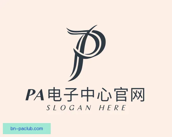 介绍PA电子中心官网